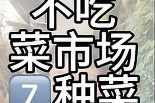 全面发挥！字母哥半场8投6中砍下13分7篮板6助攻&正负值+22！